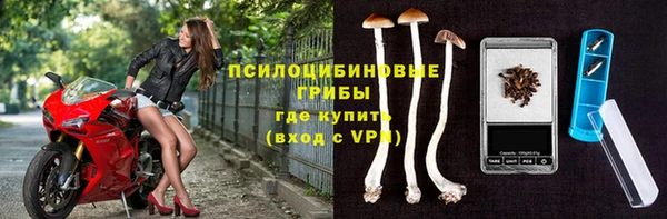 мет Нея