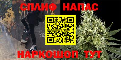 сатива Апшеронск