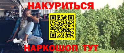 прущие крисы Аргун