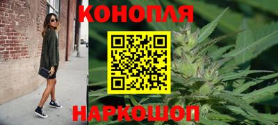 сатива Апшеронск