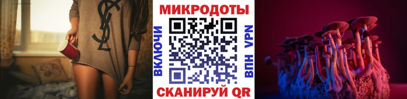 Псилоцибиновые грибы Psilocybe  купить  цена  Кизляр 
